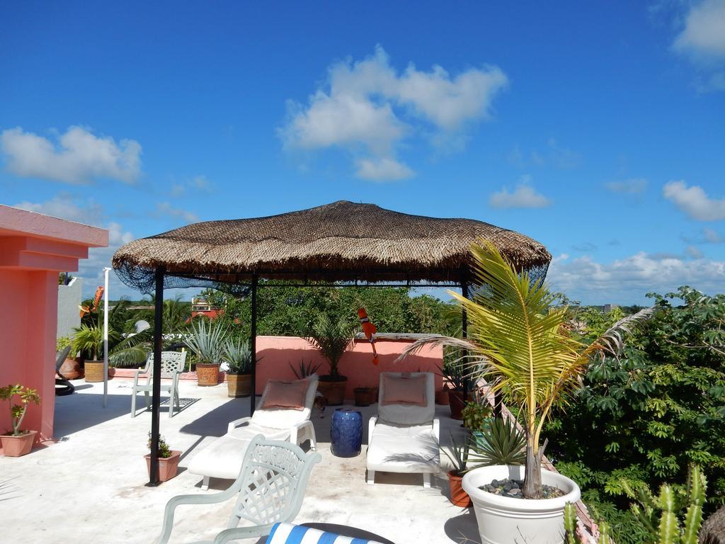 Casa Gatos Lejlighedshotel Akumal Eksteriør billede