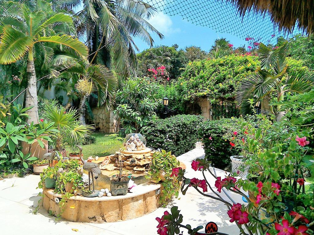Casa Gatos Lejlighedshotel Akumal Eksteriør billede