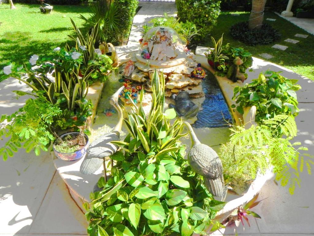 Casa Gatos Lejlighedshotel Akumal Eksteriør billede