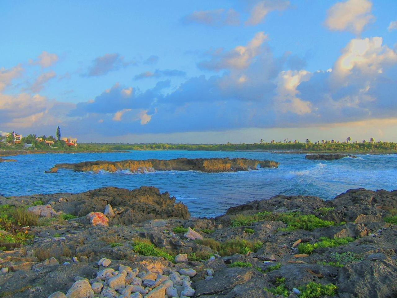 Casa Gatos Lejlighedshotel Akumal Eksteriør billede